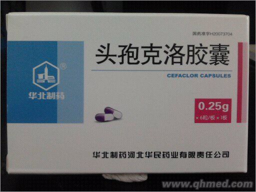 頭孢克洛膠囊 